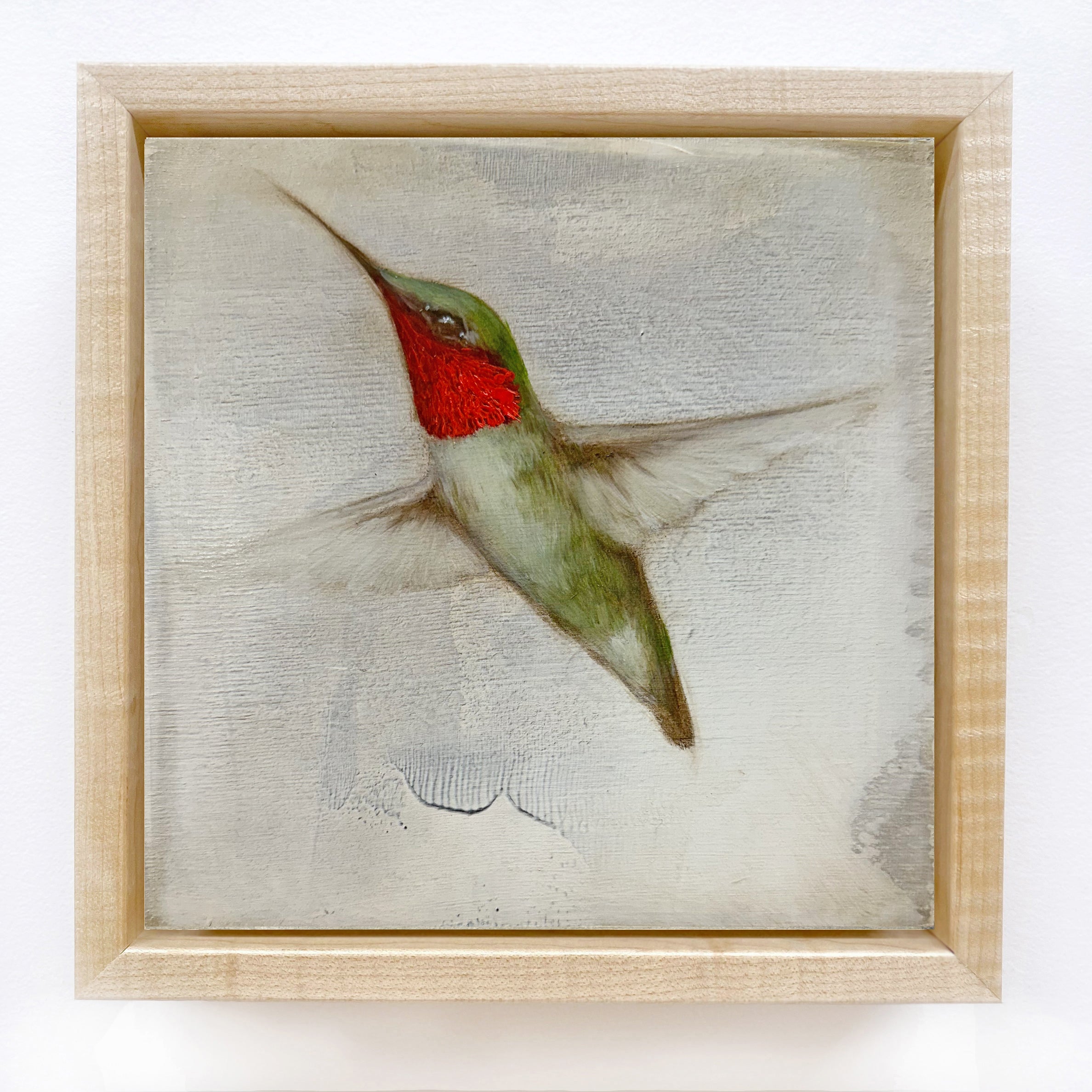 Jessica Pisano - Ruby-Throated Hummingbird #5 (6 x 6)