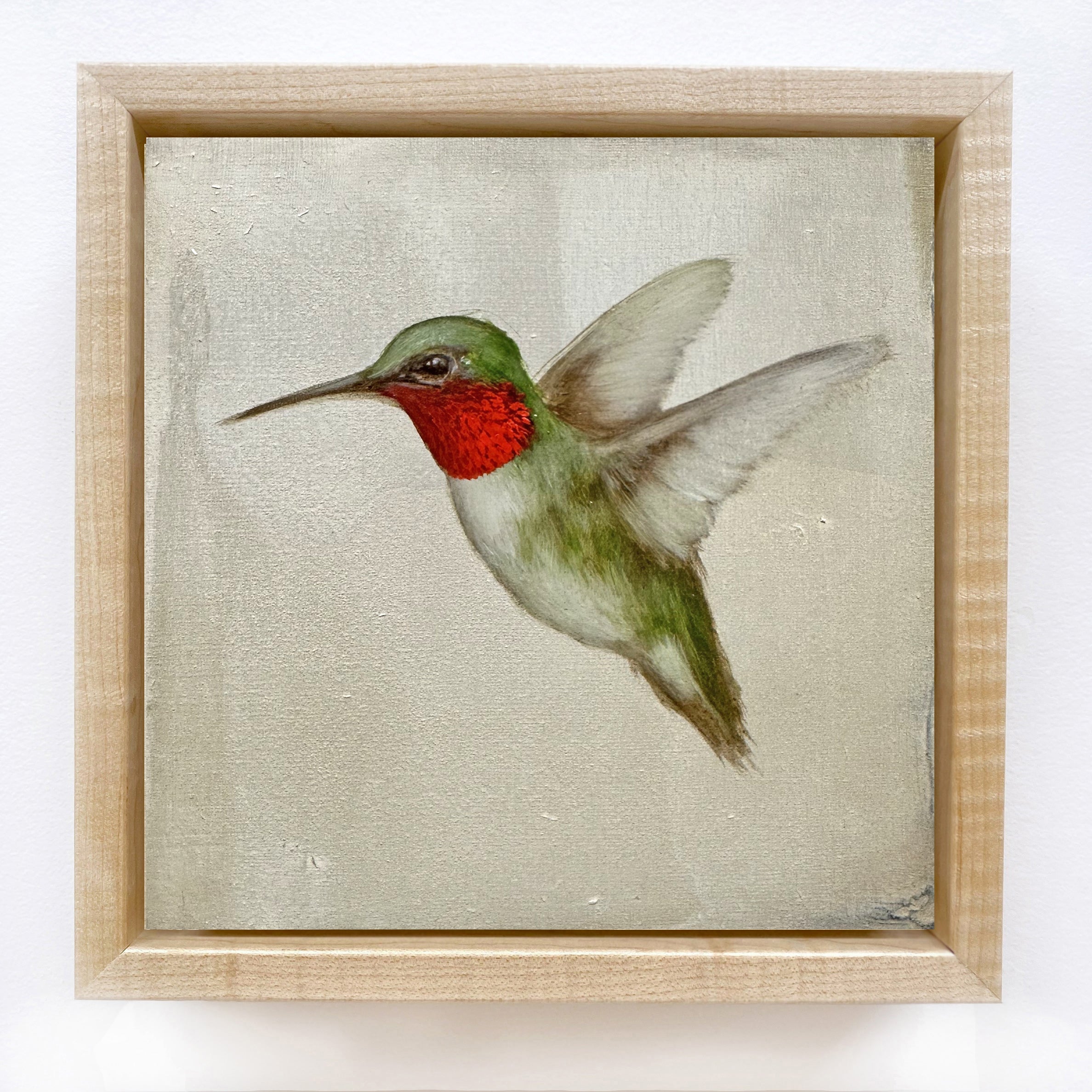 Jessica Pisano - Ruby-Throated Hummingbird #6 (6 x 6)