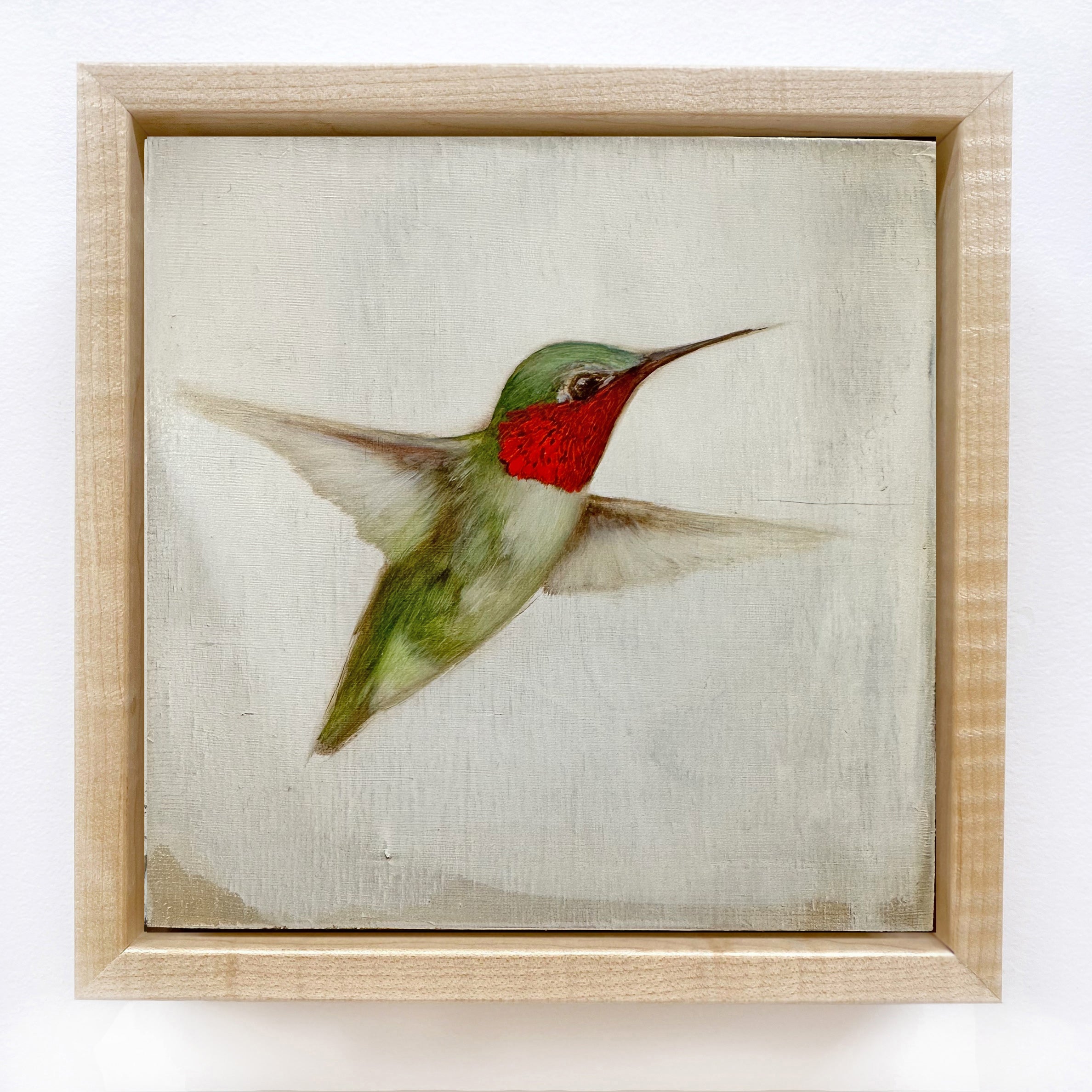 Jessica Pisano - Ruby-Throated Hummingbird #7 (6 x 6)