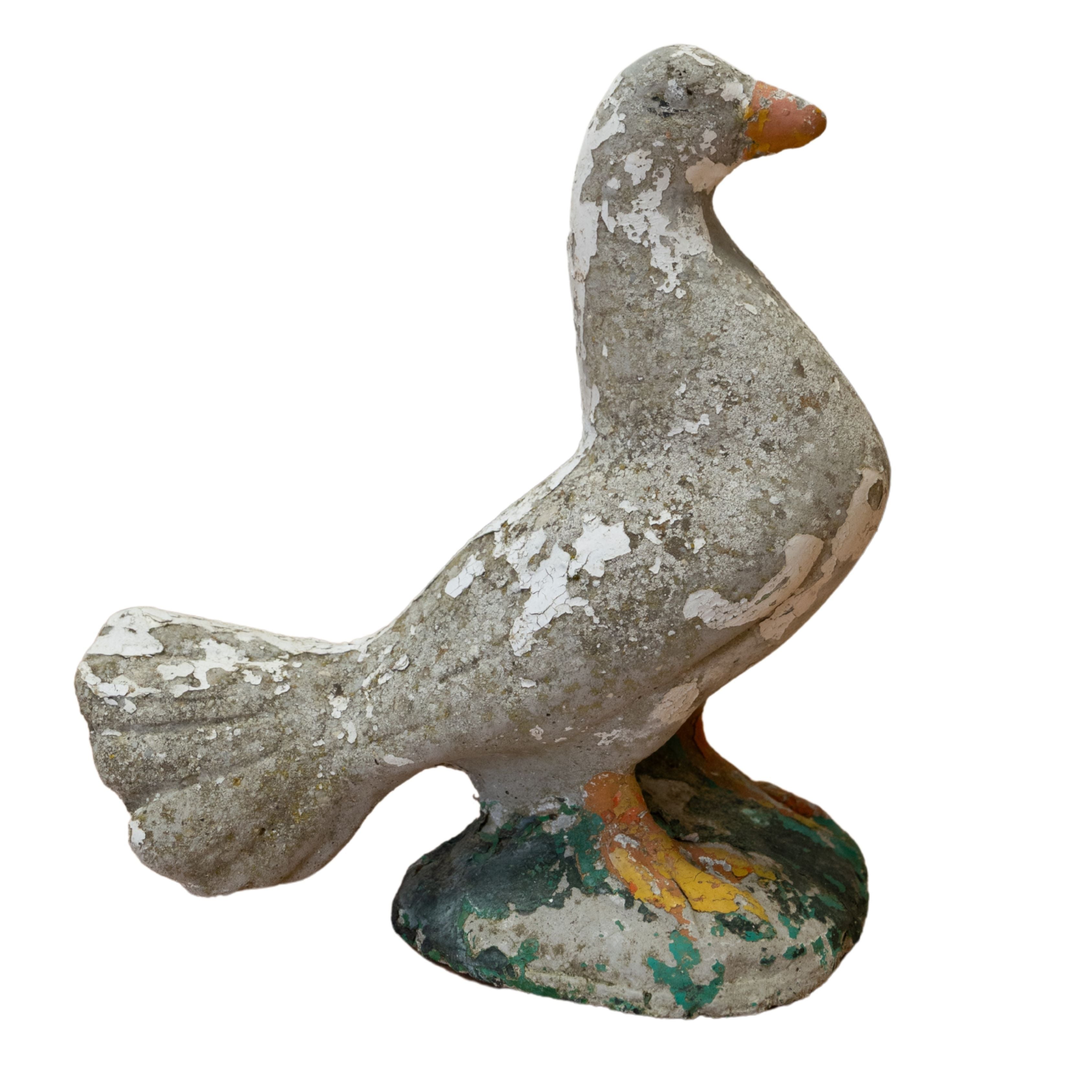 Concrete Pigeon