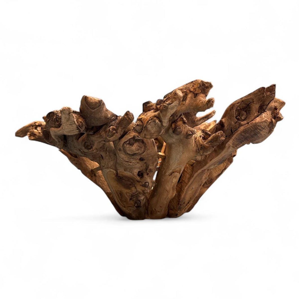Large Branchy Wood Bowl