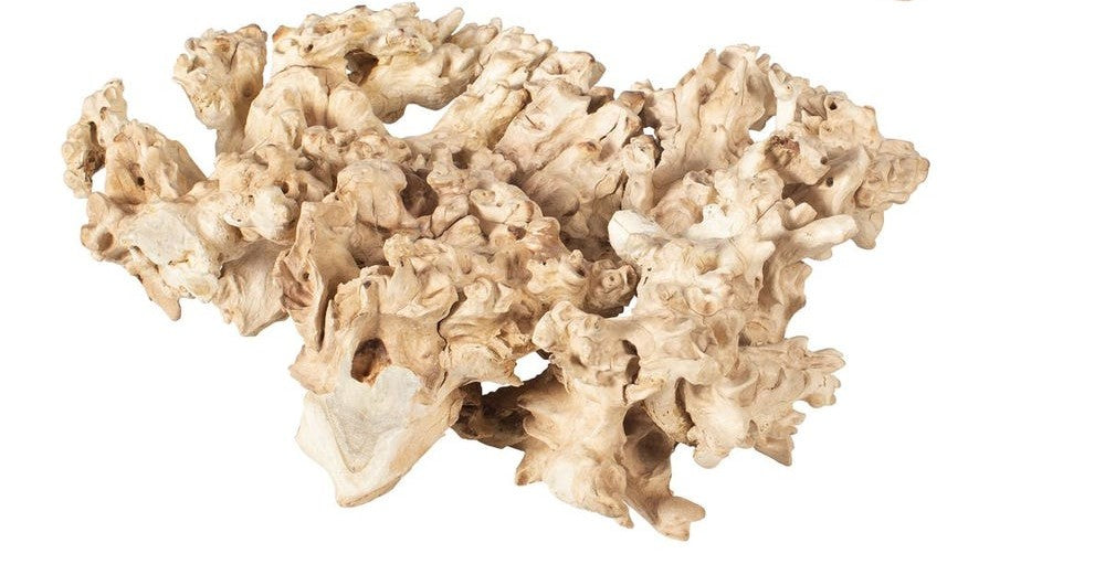 Large Root Outdoor Sculpture