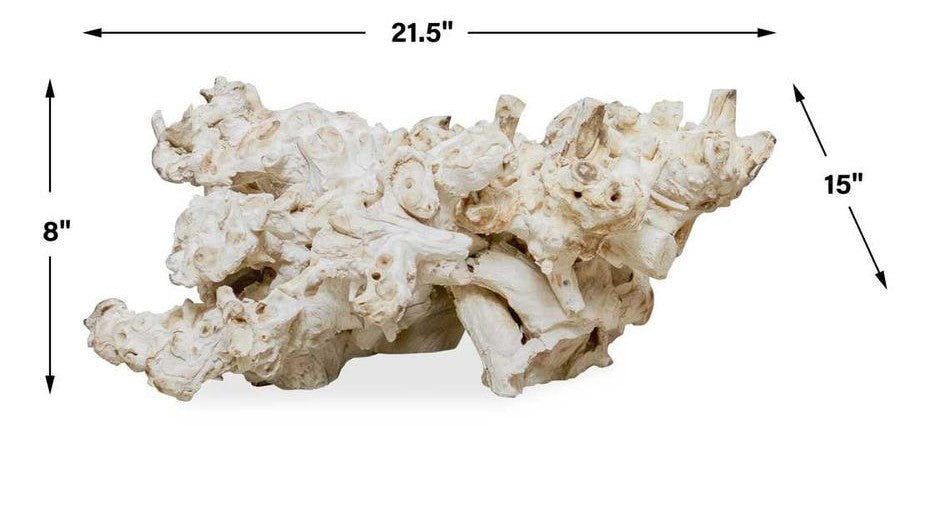 Large Root Outdoor Sculpture