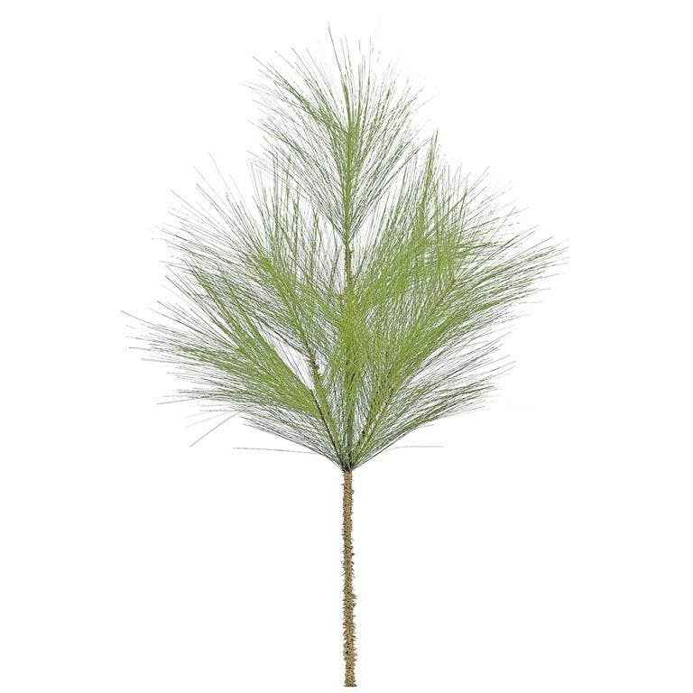 Long Needle Pine Spray