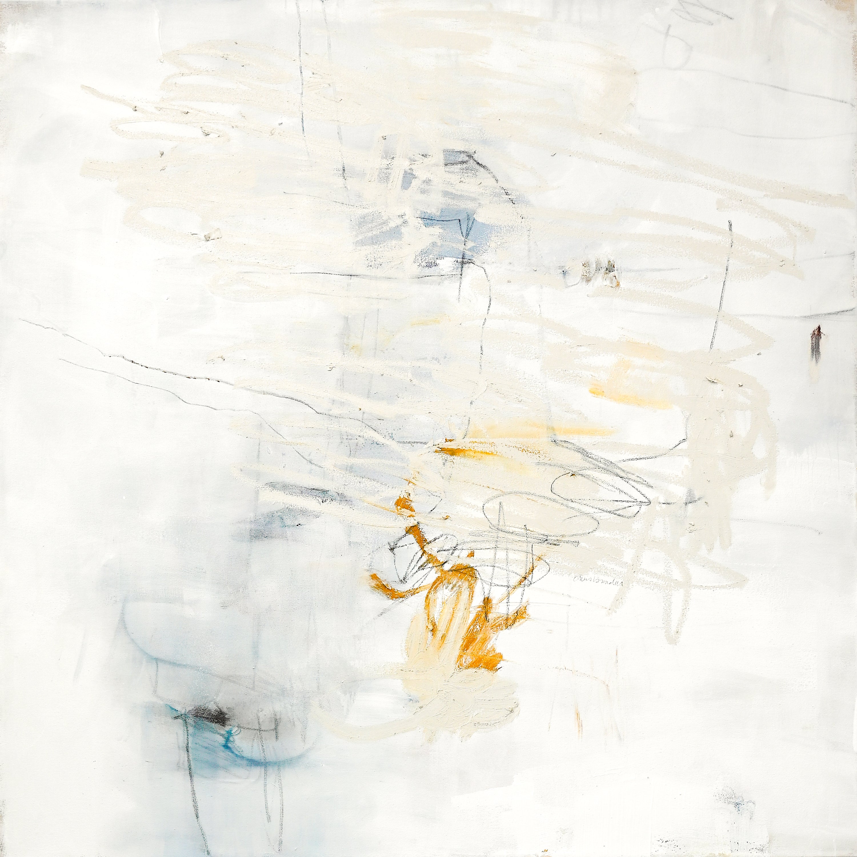 Chris Brandell - looking at you, my lens is a rose (48 x 48) - RESERVED