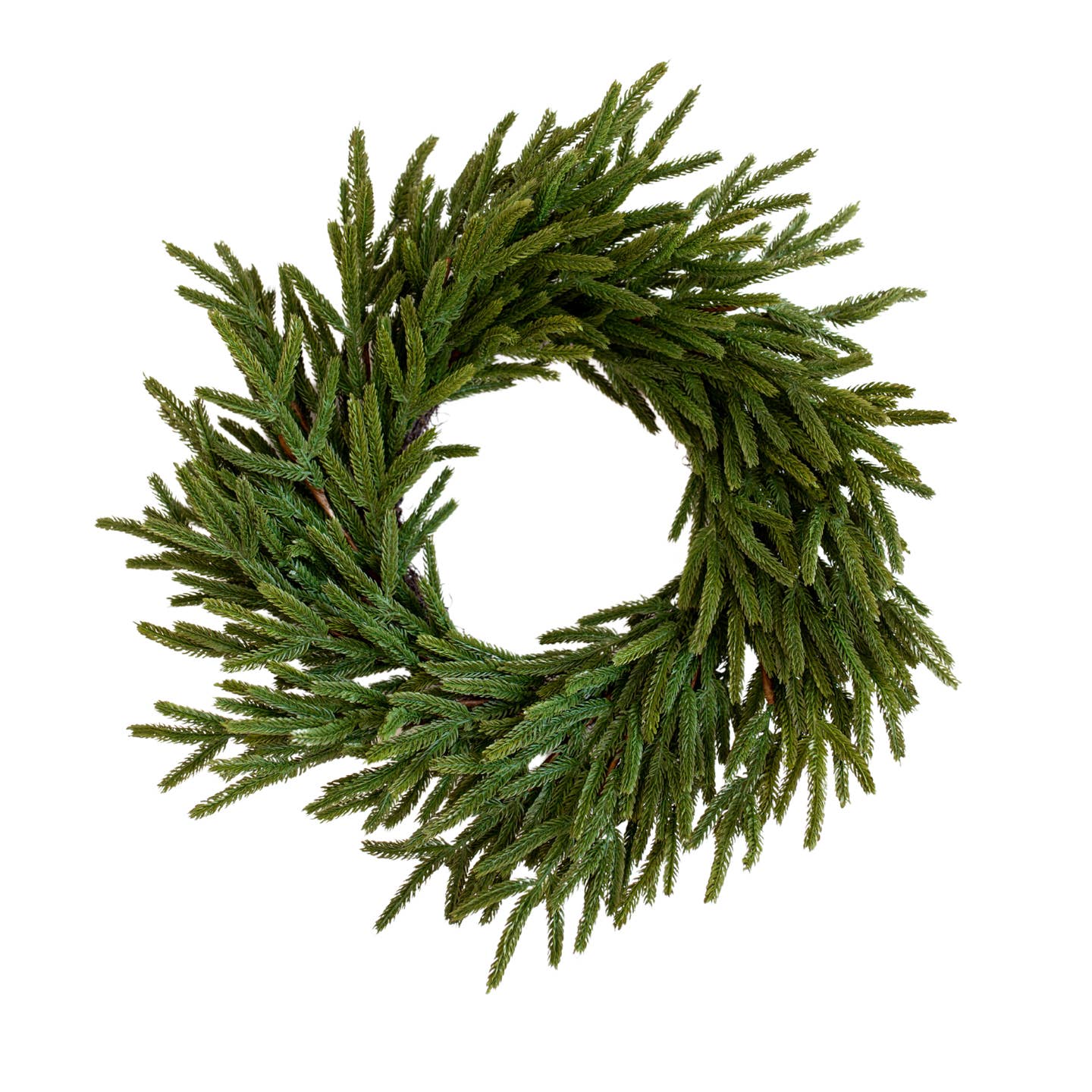 Norfolk Pine Christmas Wreath 24"