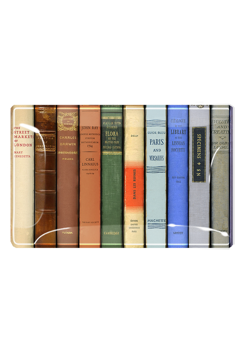 NY Public Library Tray 10"Wx6"H