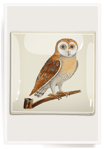 Owl Hoot Tray 6