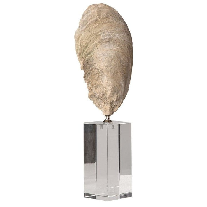 Large Oyster Sculpture