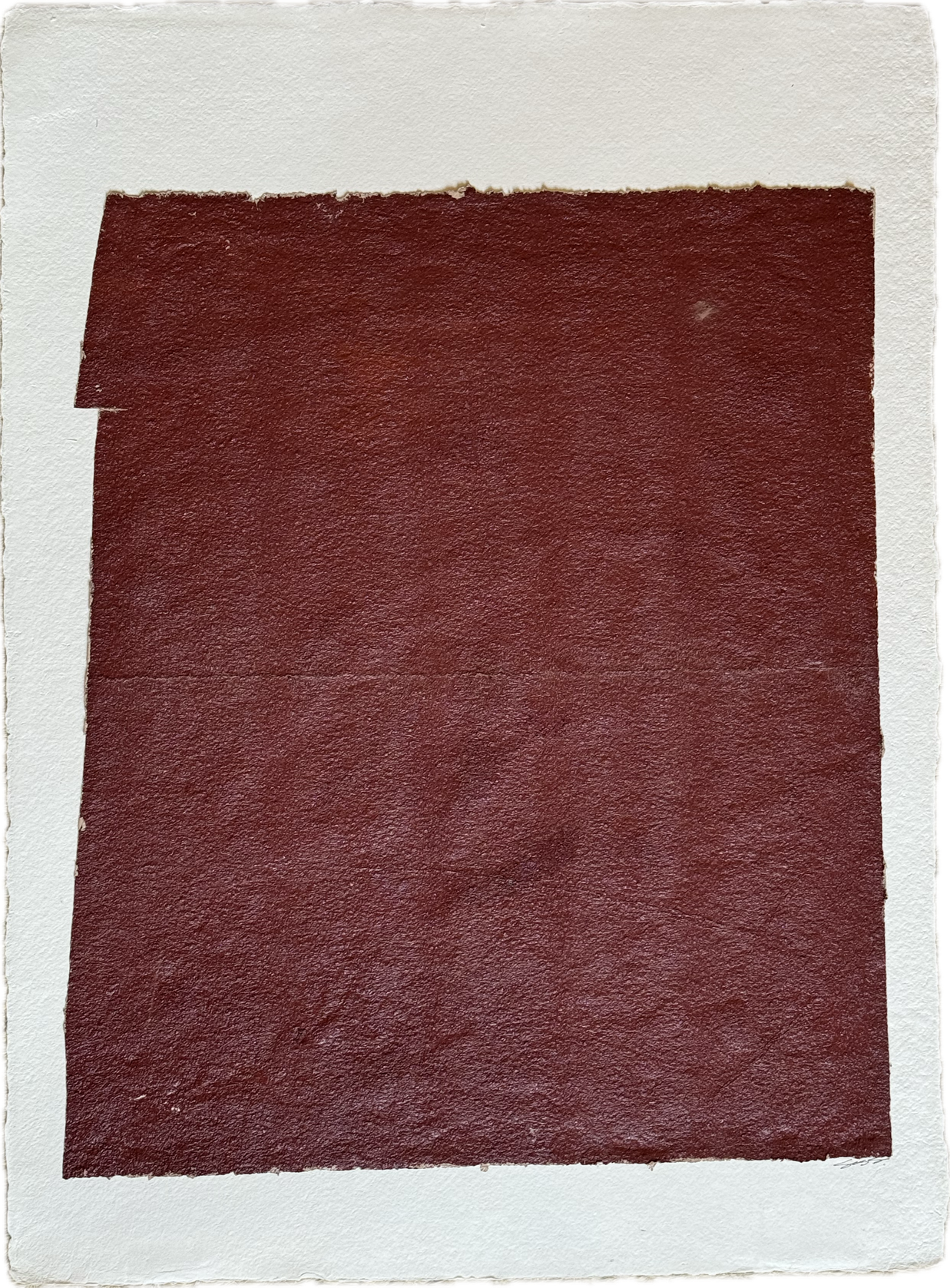 Brook Soss - Plume (30 x 22)