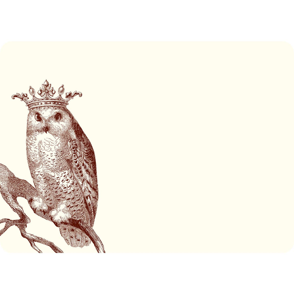 Royal Snowy Owl A6 Notes