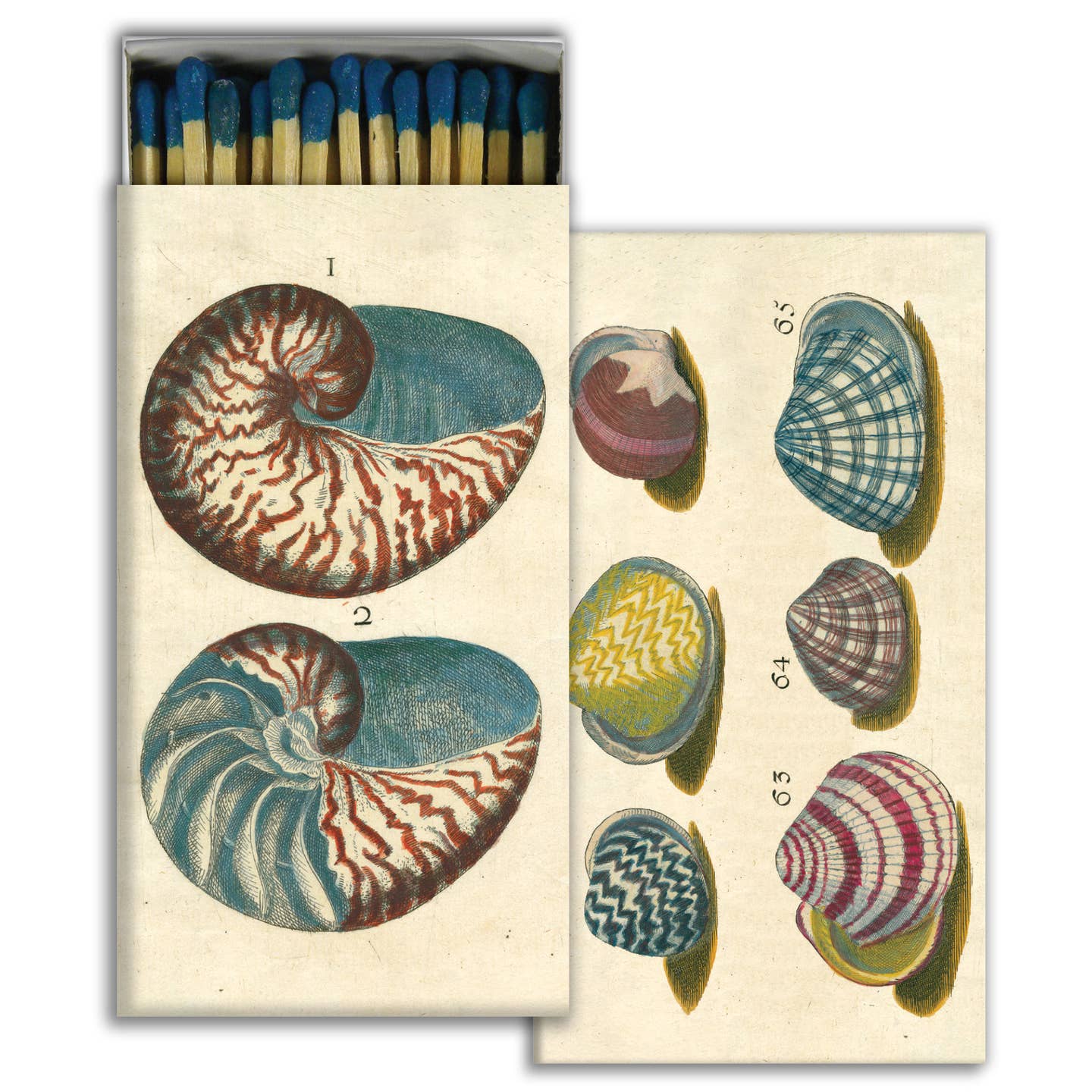 18th Century Shell Matches