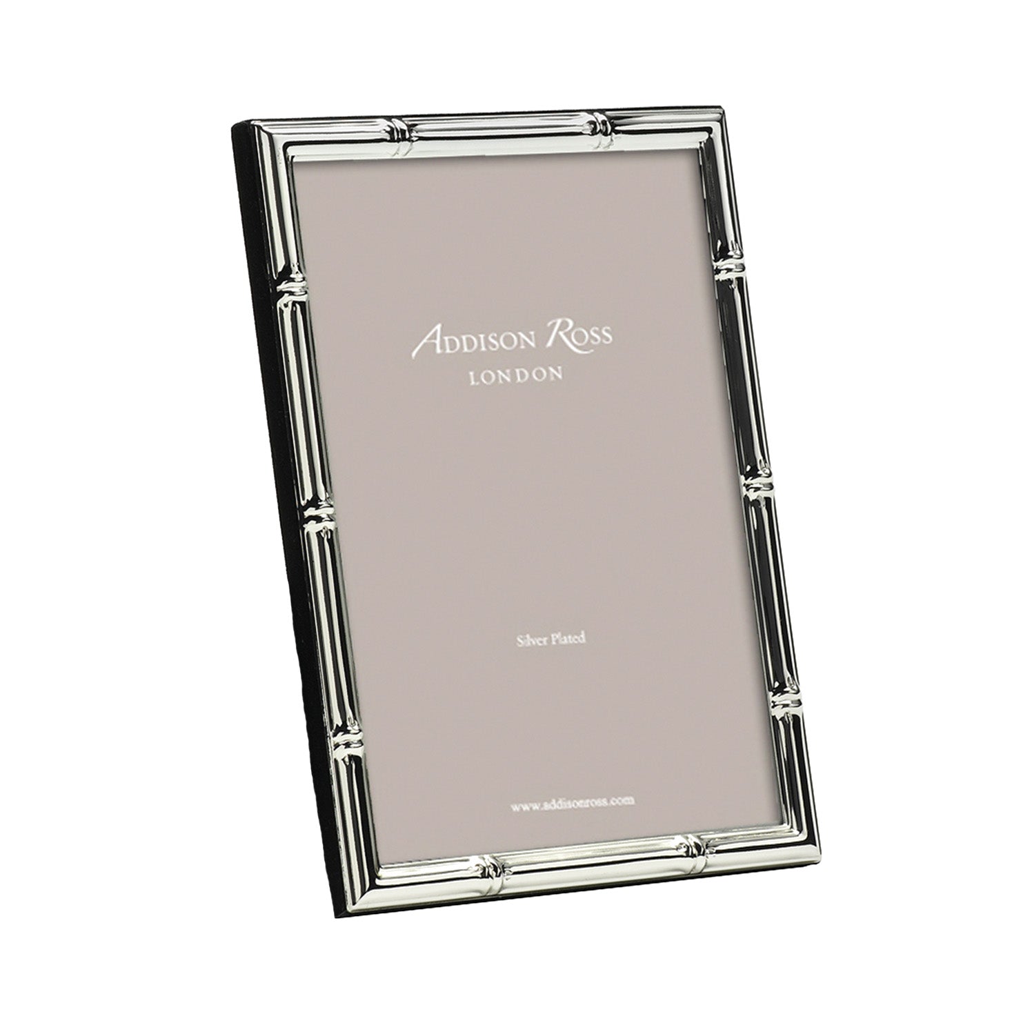 Bamboo Silver Frame 8x10"