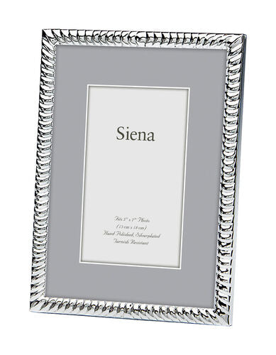 4x6 Silver Narrow Spiral Frame