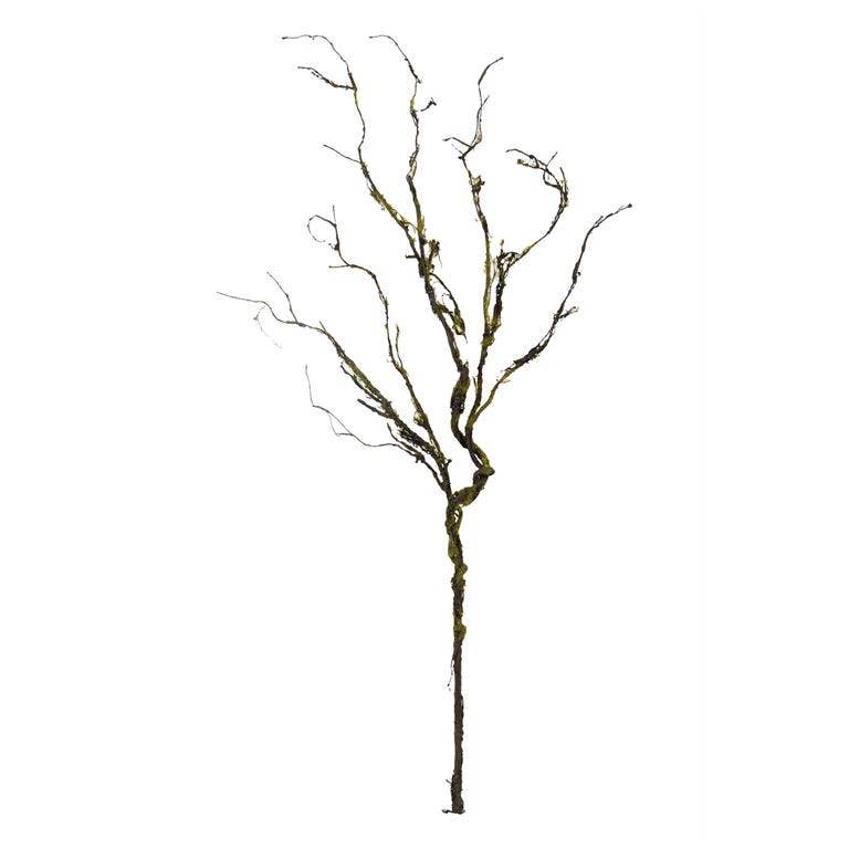 Twig Branch with Moss