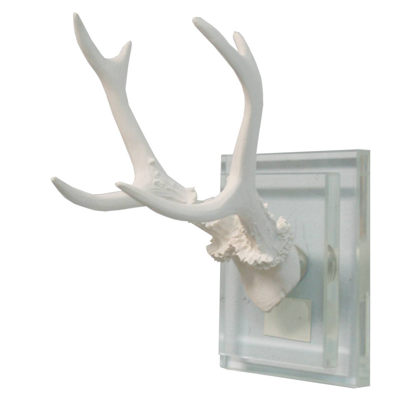 White Antler Wall Mount