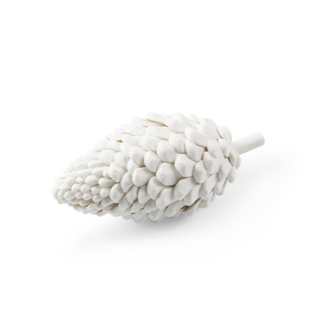 White Laying Pine Cone