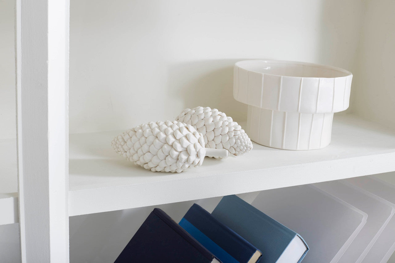 White Laying Pine Cone