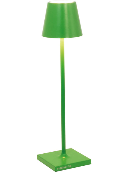 Micro Green Lamp with Charger