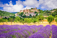 Load image into Gallery viewer, A Week in Provence
