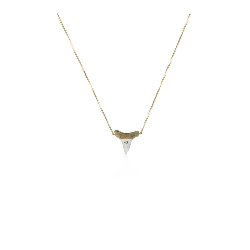 14K Sharks Tooth Dainty Necklace