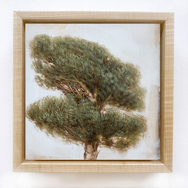 Jessica Pisano - Dream to Keep IV (6 x 6)