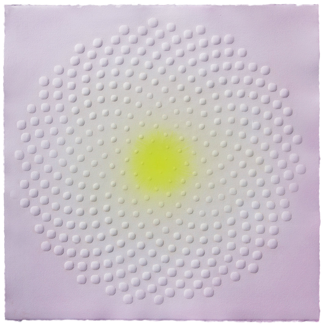Katherine Warinner - Phyllotaxis 202 (22 x 22)