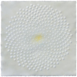 Katherine Warinner - Phyllotaxis 204 (22 x 22)