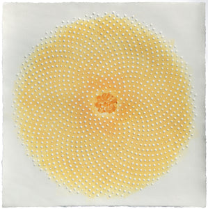 Katherine Warinner - Phyllotaxis 304 (22 x 22)