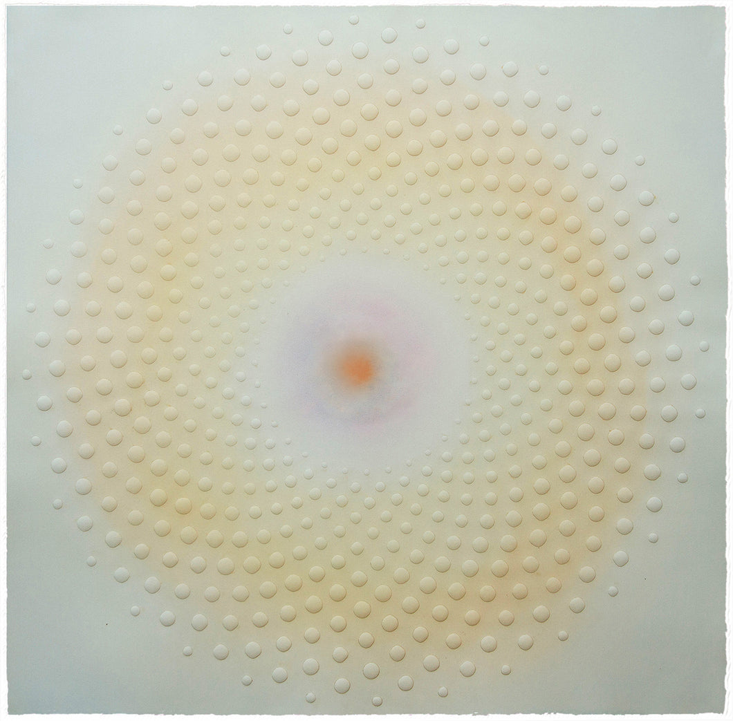 Katherine Warinner - Phyllotaxis 6 (34.5 x 34.5)