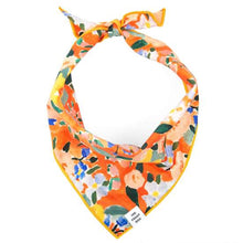 Load image into Gallery viewer, The Foggy Dog Clementine Bandana