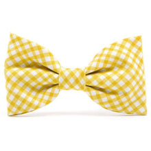 Load image into Gallery viewer, The Foggy Dog daffodil gingham bowtie