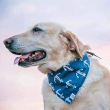 Load image into Gallery viewer, The Foggy Dog Down By The Sea Bandana