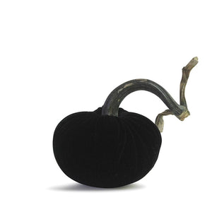 Noir Plush Pumpkin