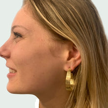 Load image into Gallery viewer, Reed Hoop Earrings