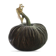 Load image into Gallery viewer, Smokey Topaz Plush Pumpkin